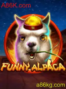 Explorando o Mundo de FunnyAlpaca: A86K.com